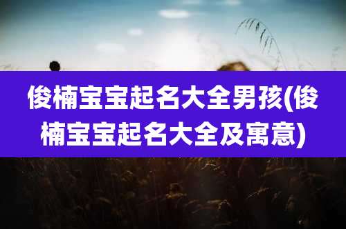 俊楠宝宝起名大全男孩(俊楠宝宝起名大全及寓意)