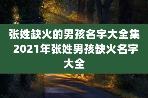 张姓缺火的男孩名字大全集 2021年张姓男孩缺火名字大全