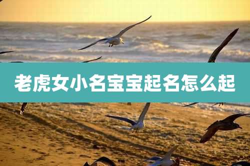 老虎女小名宝宝起名怎么起