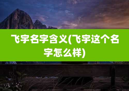 飞宇名字含义(飞宇这个名字怎么样)