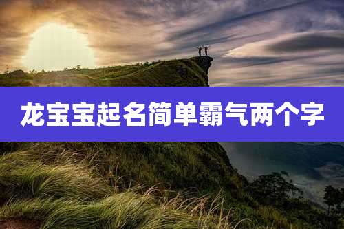 龙宝宝起名简单霸气两个字