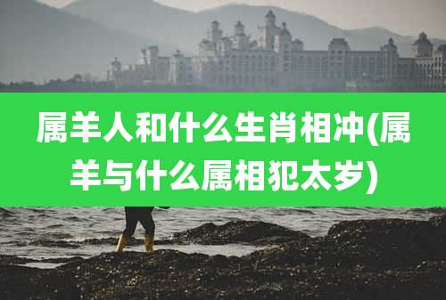 属羊人和什么生肖相冲(属羊与什么属相犯太岁)