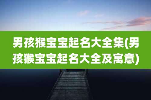 男孩猴宝宝起名大全集(男孩猴宝宝起名大全及寓意)