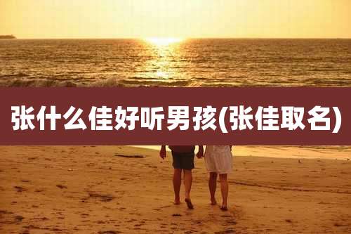 张什么佳好听男孩(张佳取名)