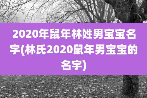 2020年鼠年林姓男宝宝名字(林氏2020鼠年男宝宝的名字)