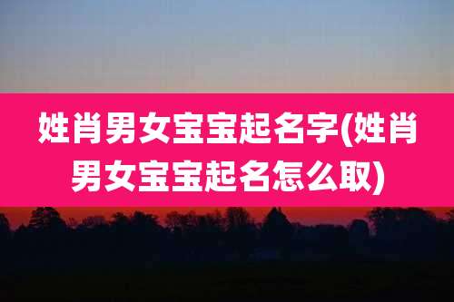 姓肖男女宝宝起名字(姓肖男女宝宝起名怎么取)