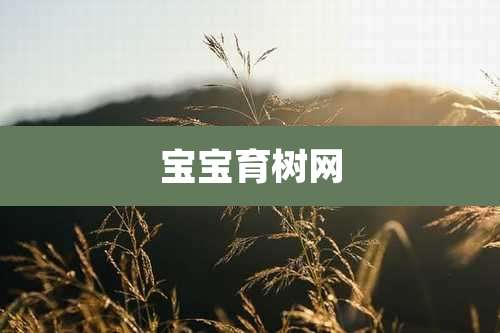 宝宝育树网
