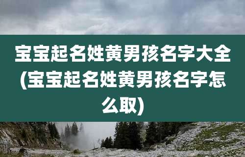 宝宝起名姓黄男孩名字大全(宝宝起名姓黄男孩名字怎么取)