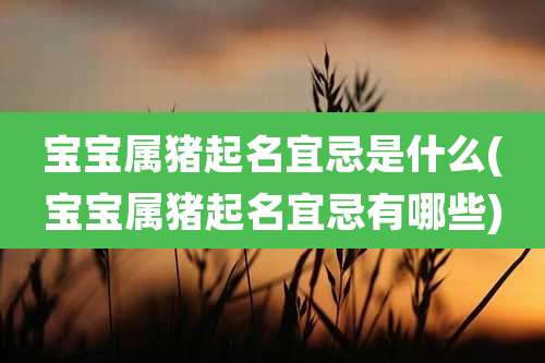 宝宝属猪起名宜忌是什么(宝宝属猪起名宜忌有哪些)