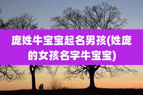 庞姓牛宝宝起名男孩(姓庞的女孩名字牛宝宝)