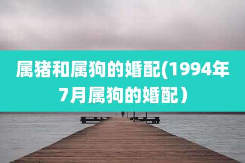 属猪和属狗的婚配(1994年7月属狗的婚配)
