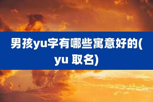 男孩yu字有哪些寓意好的(yu 取名)