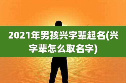 2021年男孩兴字辈起名(兴字辈怎么取名字)