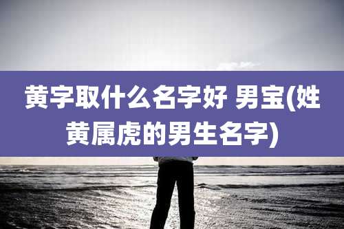 黄字取什么名字好 男宝(姓黄属虎的男生名字)