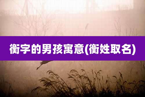 衡字的男孩寓意(衡姓取名)