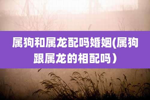 属狗和属龙配吗婚姻(属狗跟属龙的相配吗）