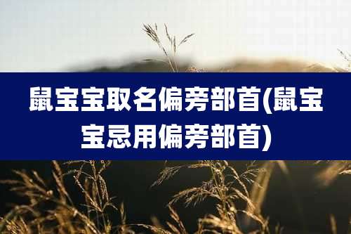 鼠宝宝取名偏旁部首(鼠宝宝忌用偏旁部首)