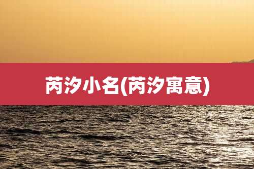 芮汐小名(芮汐寓意)