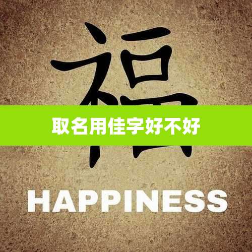 取名用佳字好不好