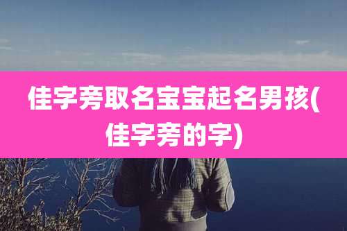 佳字旁取名宝宝起名男孩(佳字旁的字)