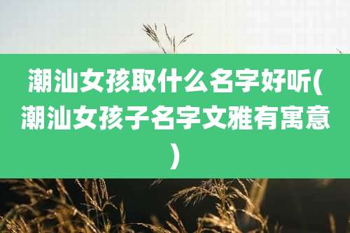 潮汕女孩取什么名字好听(潮汕女孩子名字文雅有寓意)