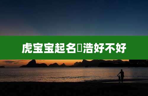 虎宝宝起名璟浩好不好