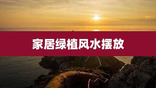 家居绿植风水摆放