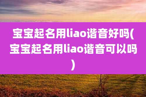 宝宝起名用liao谐音好吗(宝宝起名用liao谐音可以吗)