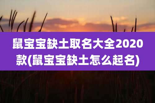 鼠宝宝缺土取名大全2020款(鼠宝宝缺土怎么起名)