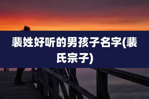 裴姓好听的男孩子名字(裴氏宗子)