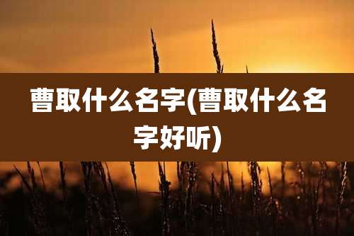 曹取什么名字(曹取什么名字好听)