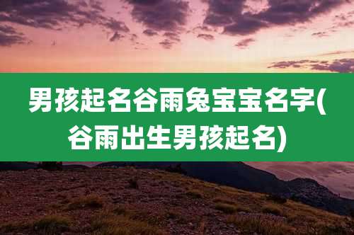 男孩起名谷雨兔宝宝名字(谷雨出生男孩起名)