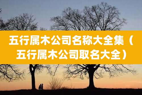 五行属木公司名称大全集(五行属木公司取名大全)