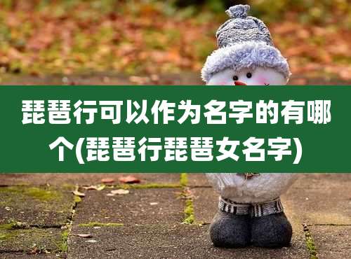 琵琶行可以作为名字的有哪个(琵琶行琵琶女名字)