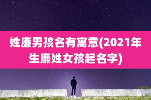 姓廉男孩名有寓意(2021年生廉姓女孩起名字)