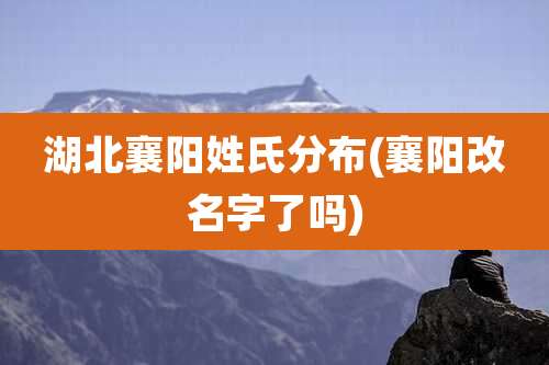 湖北襄阳姓氏分布(襄阳改名字了吗)