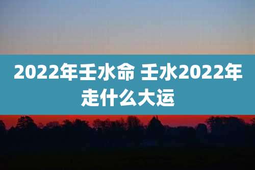 2022年壬水命 壬水2022年走什么大运