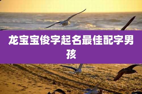 龙宝宝俊字起名最佳配字男孩