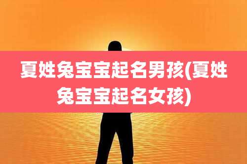 夏姓兔宝宝起名男孩(夏姓兔宝宝起名女孩)