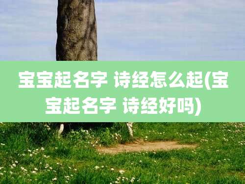 宝宝起名字 诗经怎么起(宝宝起名字 诗经好吗)