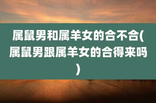 属鼠男和属羊女的合不合(属鼠男跟属羊女的合得来吗)