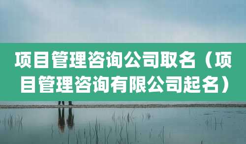 项目管理咨询公司取名（项目管理咨询有限公司起名）