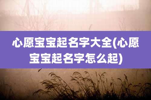 心愿宝宝起名字大全(心愿宝宝起名字怎么起)