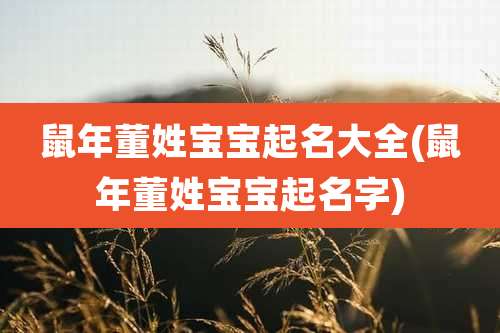 鼠年董姓宝宝起名大全(鼠年董姓宝宝起名字)