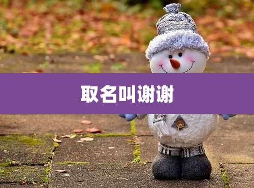 取名叫谢谢
