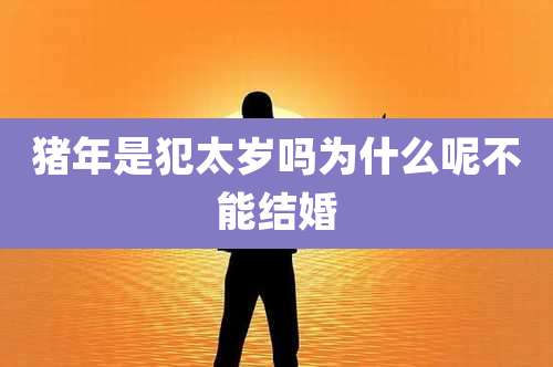 猪年是犯太岁吗为什么呢不能结婚