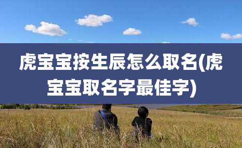 虎宝宝按生辰怎么取名(虎宝宝取名字最佳字)