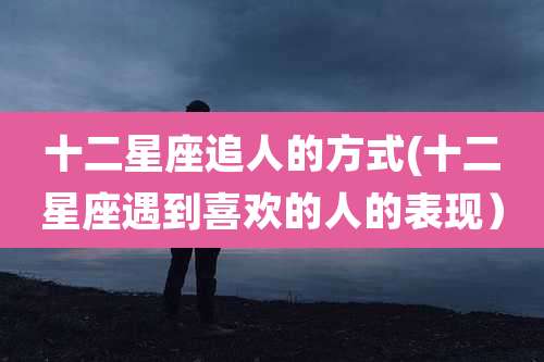 十二星座追人的方式(十二星座遇到喜欢的人的表现)