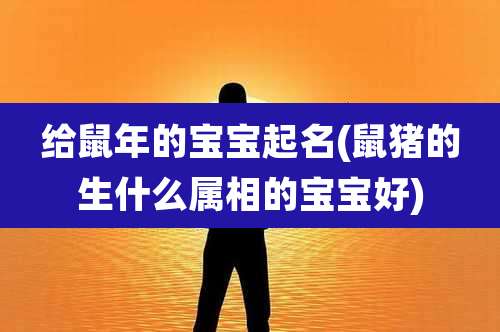 给鼠年的宝宝起名(鼠猪的生什么属相的宝宝好)