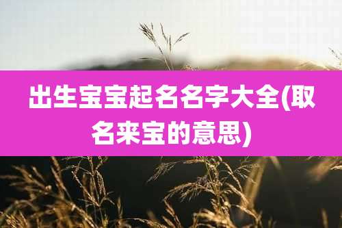 出生宝宝起名名字大全(取名来宝的意思)